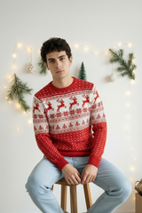 Maglione Natalizio Con Renne Art. Mg167
